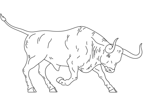Spanish Fighting Bull coloring page