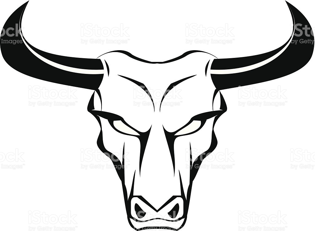 Bull face drawing.