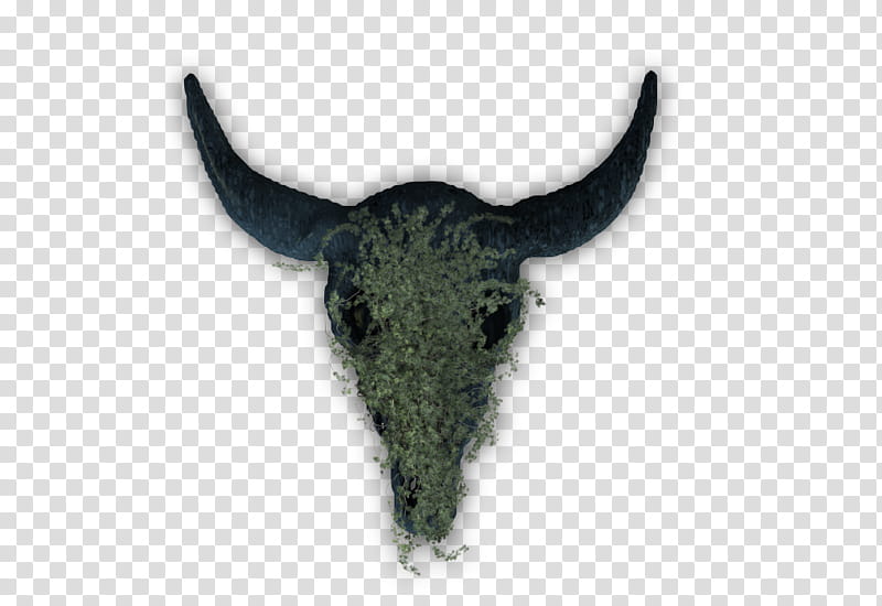 RPG Map Elements , green plant growing on grey bull horn