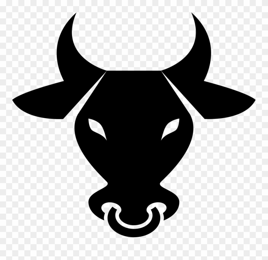 Bull Frontal Head Comments