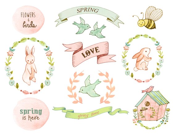 Floral clipart, baby clipart, bunny clipart, spring clipart