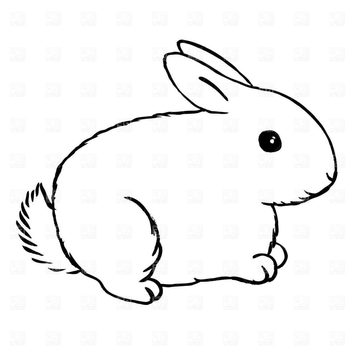 Bunny clipart black and white Inspirational Top
