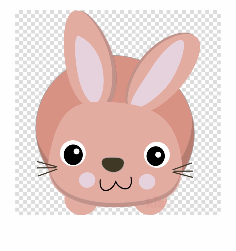 Cute bunny png.