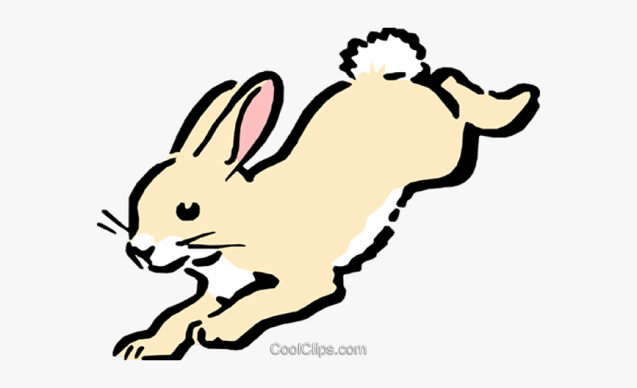 Hare Clipart Herbivorous Animal