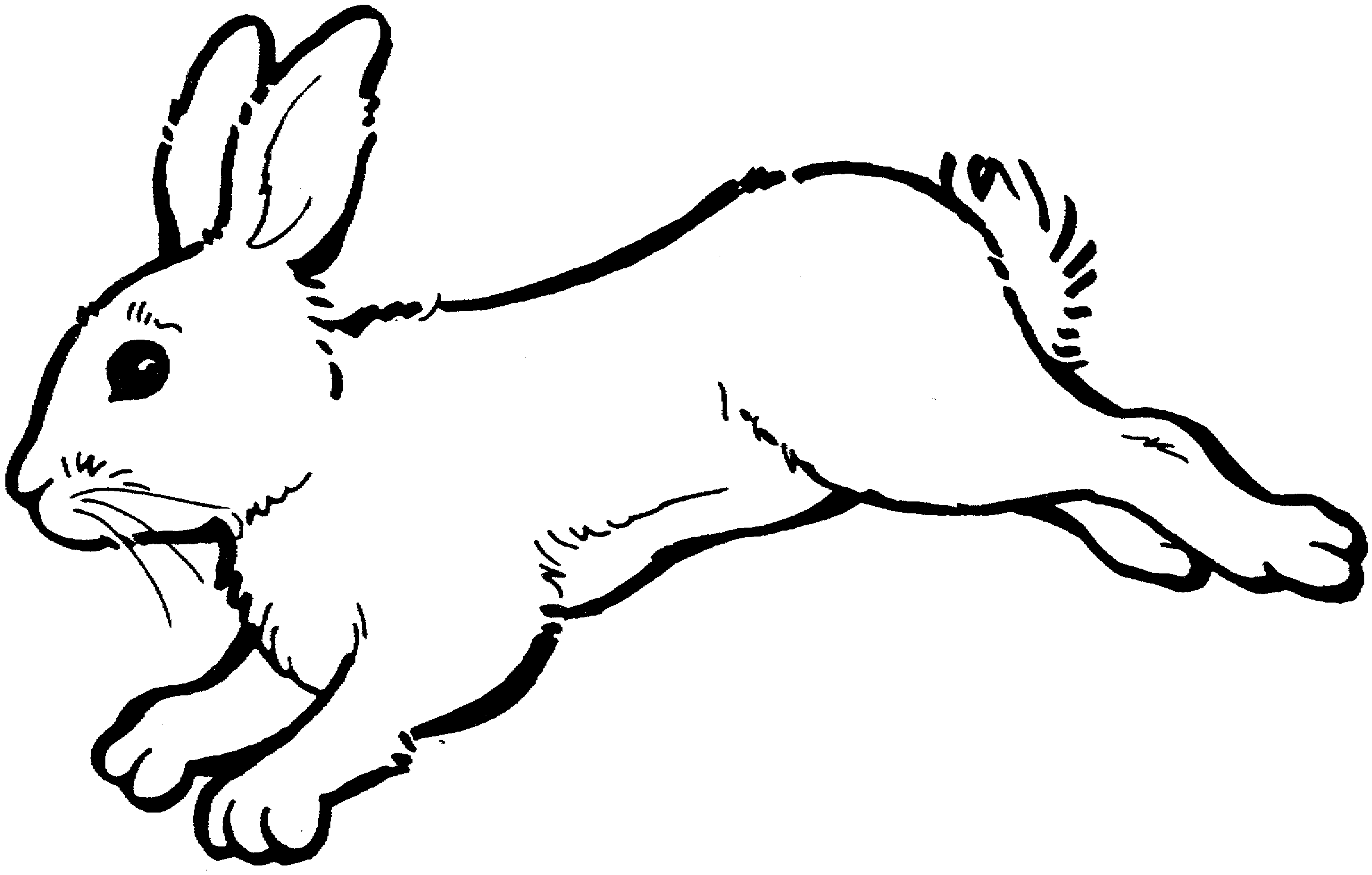 Bunny clipart black and white hopping bunny rabbit