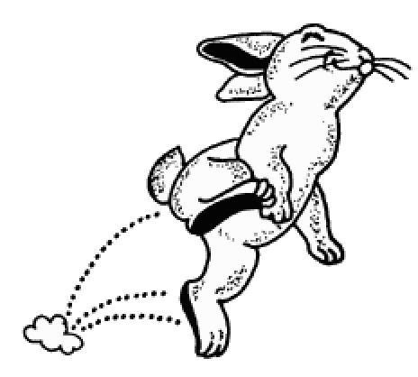 Free Rabbit Cooking Cliparts, Download Free Clip Art, Free