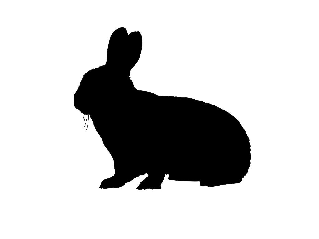 Free bunny silhouette.