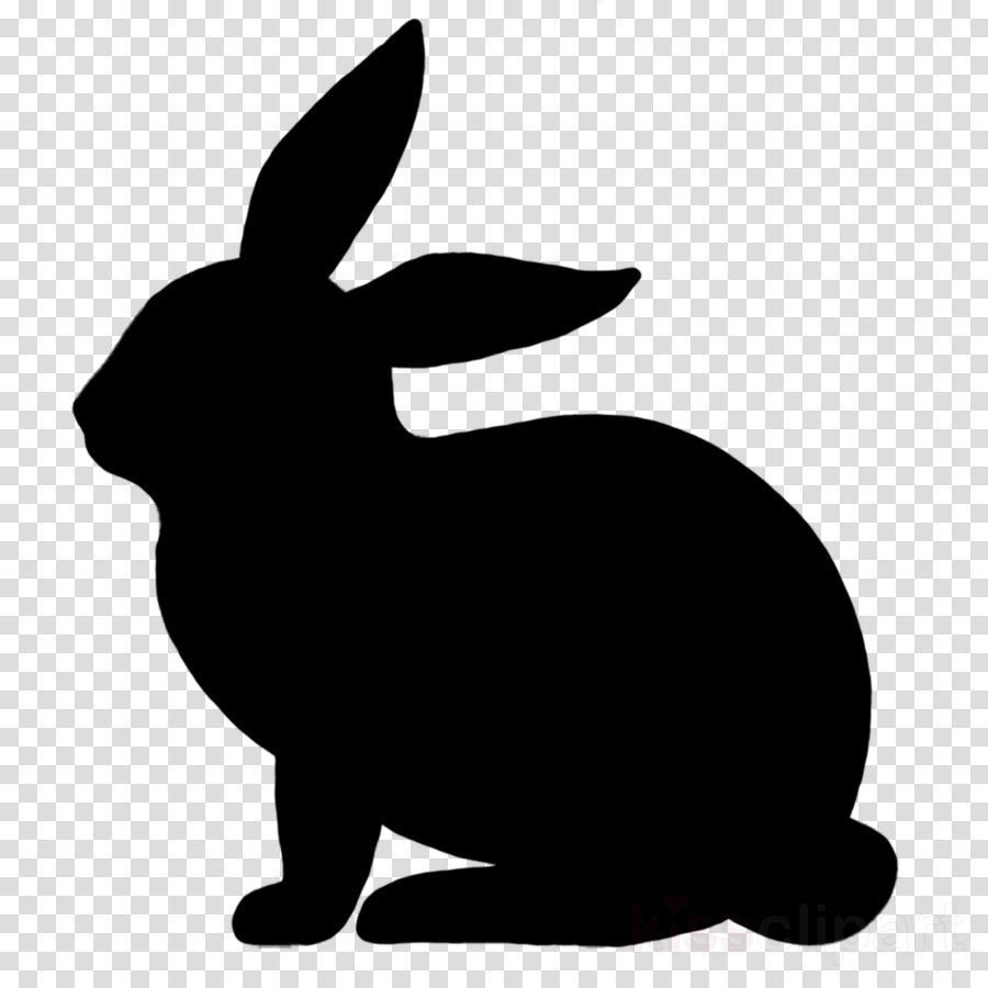 Easter bunny background.