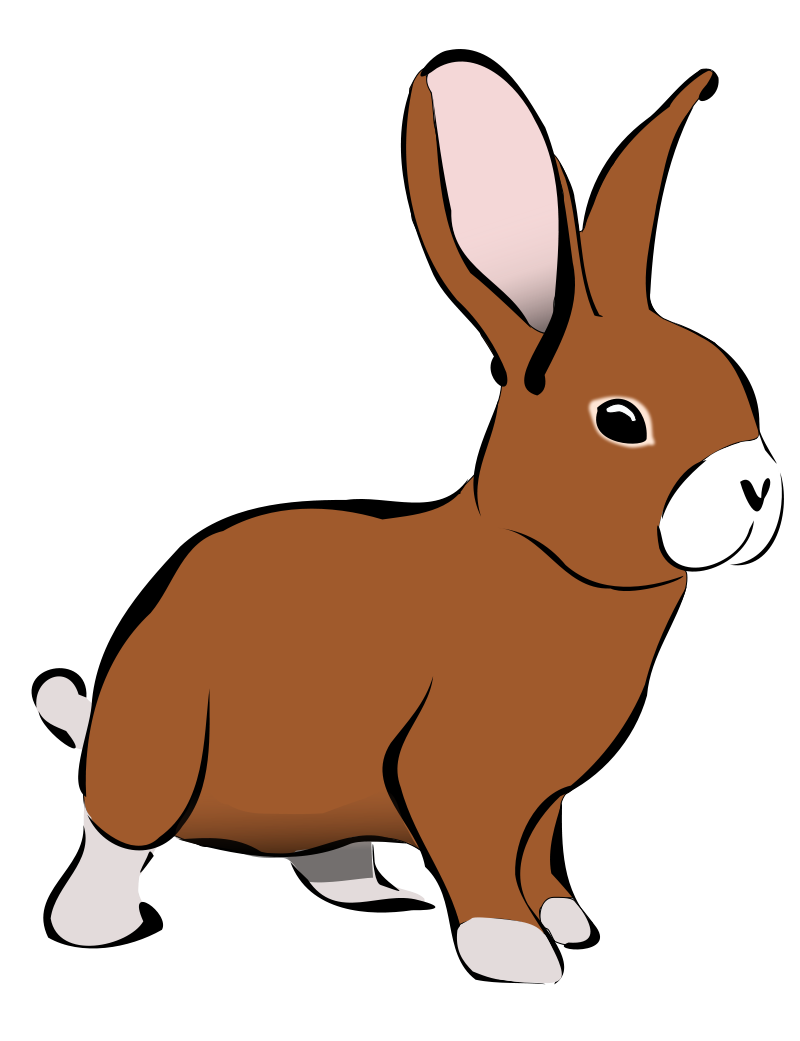 Rabbit hare clip.