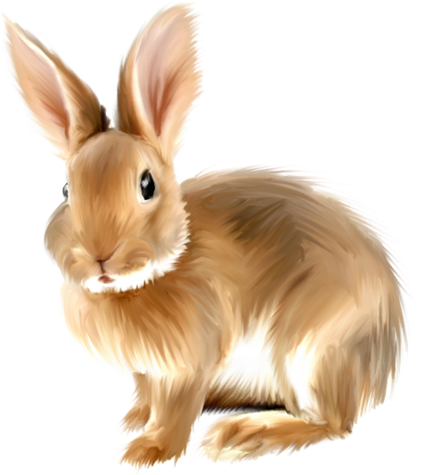Painted bunny clipartpng.