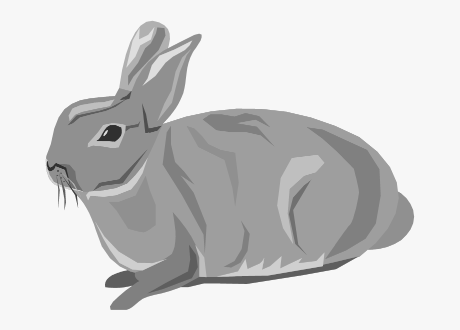 Bunny rabbit png.