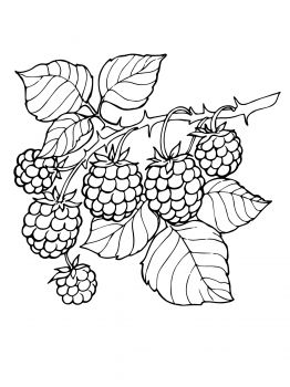 Free Black Berries Cliparts, Download Free Clip Art, Free