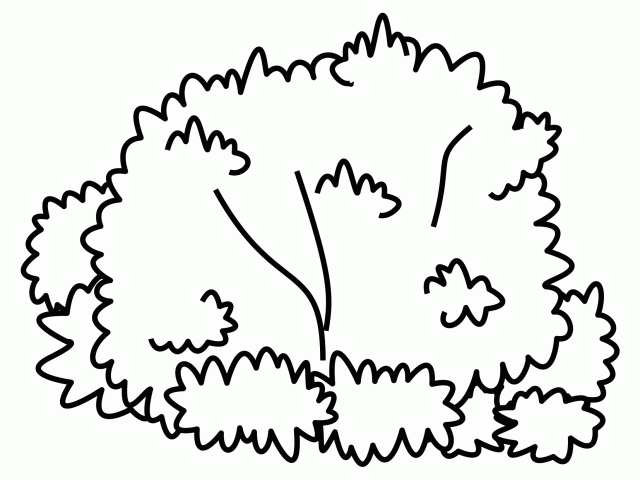 Free bushes clipart.