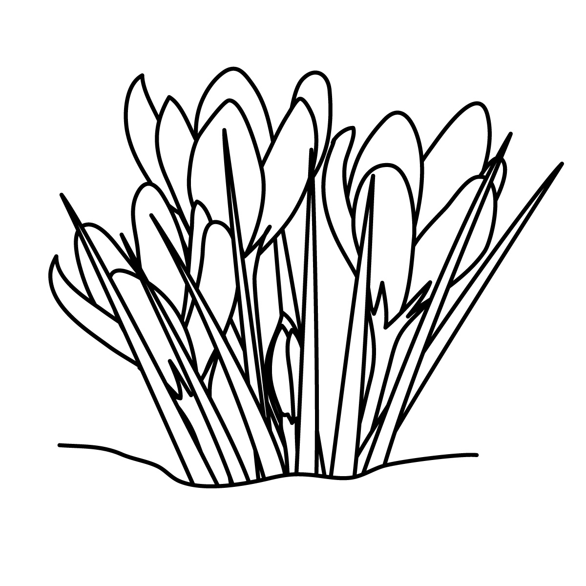Grass Clipart Black And White