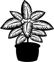 Plant Clipart Black And White