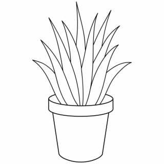 Pot Plant PNG Images