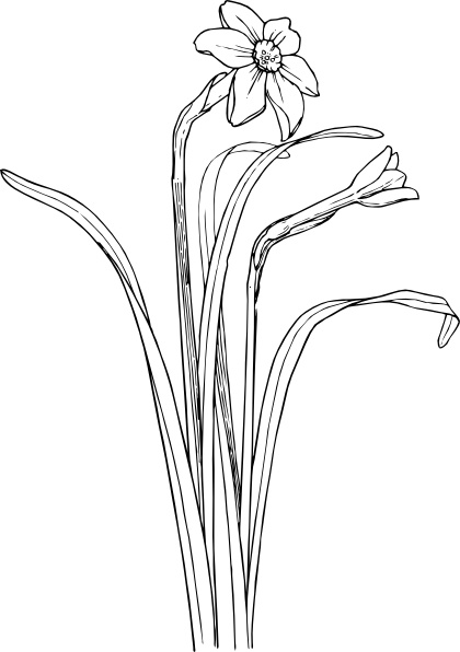 Flower plant stem.