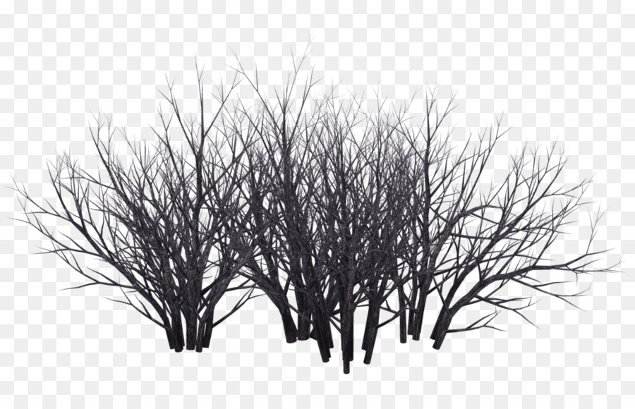 bush clipart black and white transparent background
