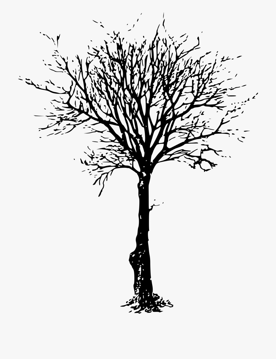 Clipart leafless tree.