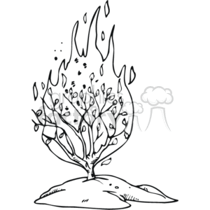 Burning bush clipart.