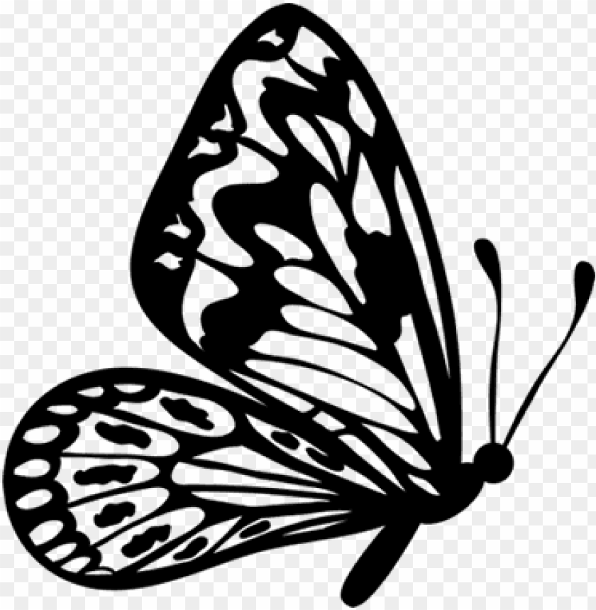 Download flying butterfly outline clipart