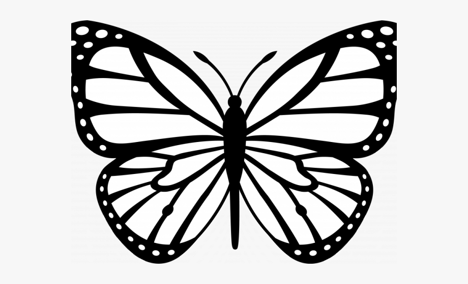 Monarch Butterfly Clipart Colorful Flying Butterfly