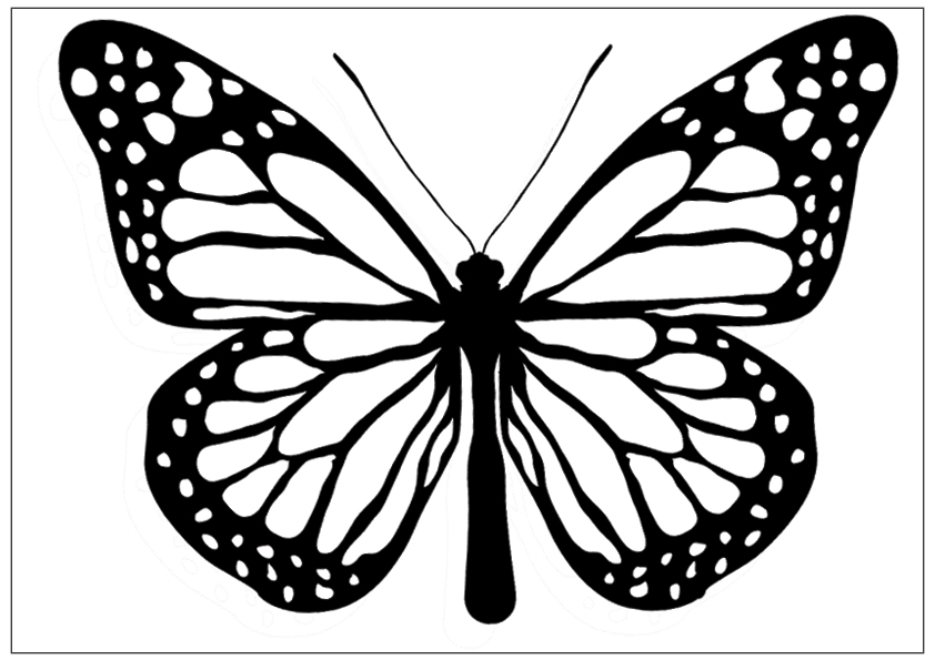 Free Butterfly Images Black And White, Download Free Clip
