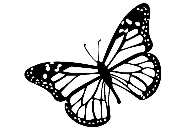 Butterfly black and white monarch butterfly clipart black