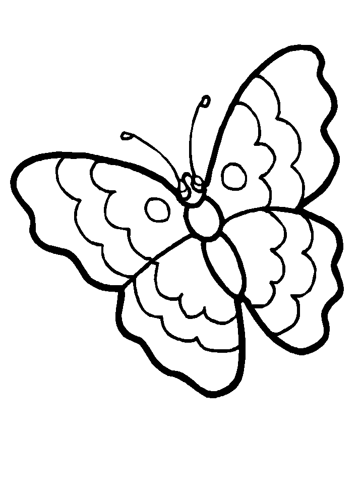 butterfly black and white clipart printable