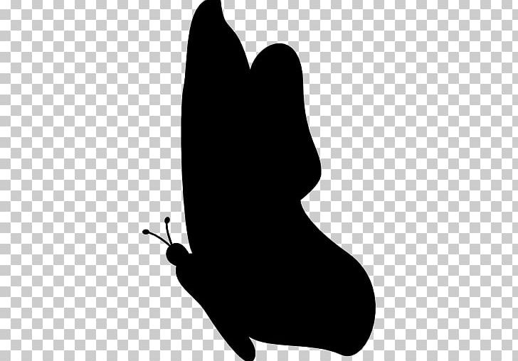 Butterfly shape png.