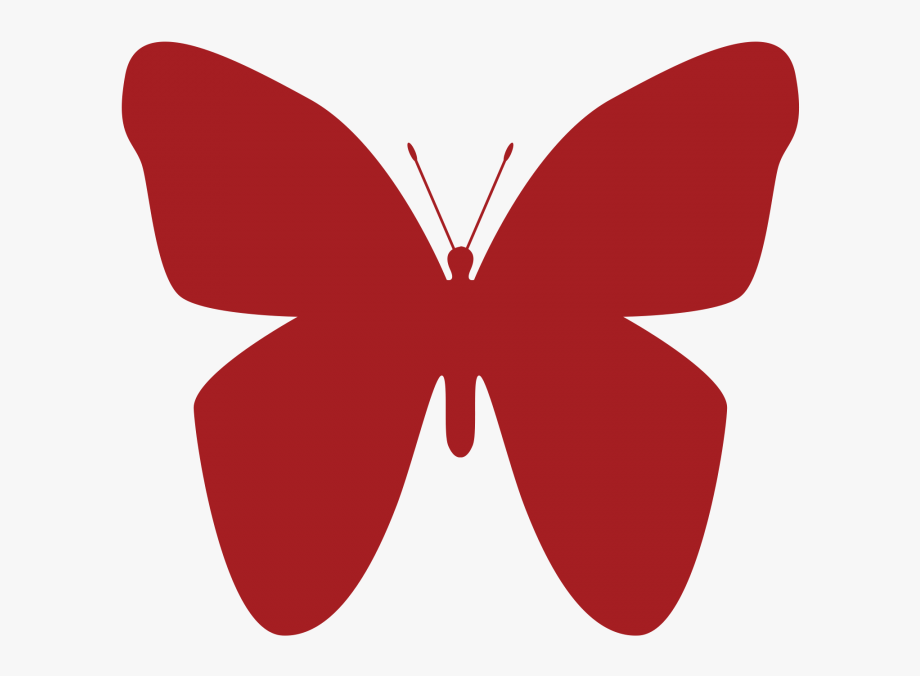 Butterfly png vector.