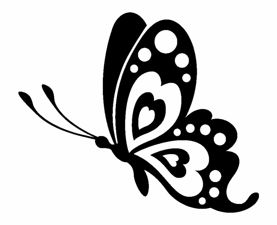 Download Butterfly black and white clipart side view pictures on ...