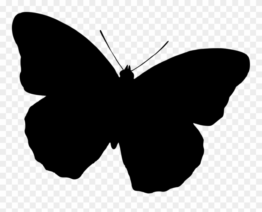 Butterfly Silhouette Drawing Black And White Free Commercial