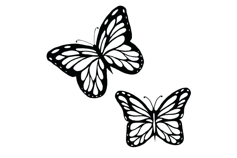 White butterfly drawing. 