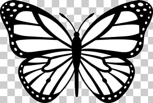 515 butterfly tattoo.