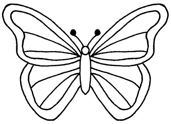 butterfly black and white clipart template