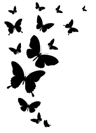 Butterfly Free Clipart Black And White Transparent Png