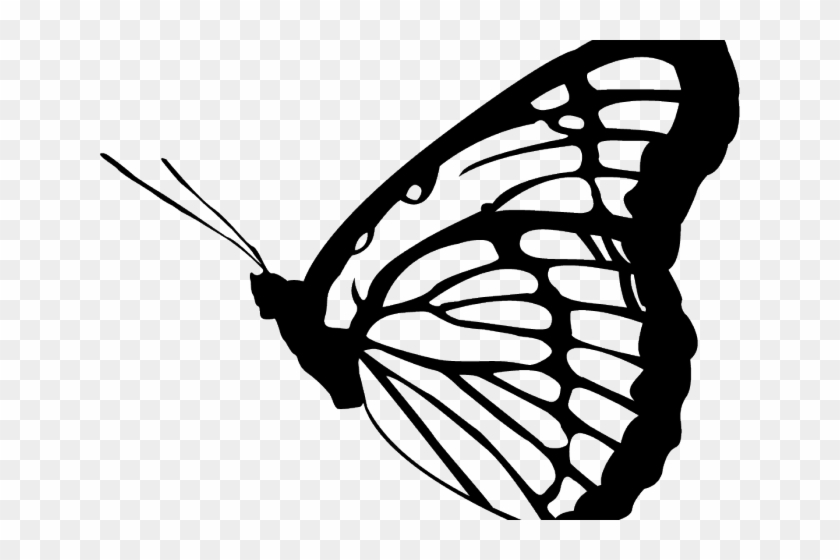 Monarch Butterfly Clipart Png Full Hd