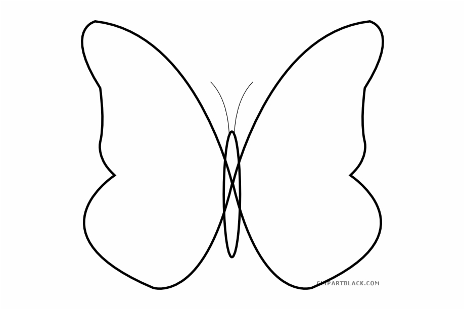 Butterfly Large Animal Free Black White Clipart Images