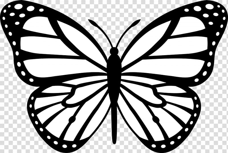 Monarch butterfly Outline , Cartoon Monarch Butterfly