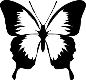 butterfly black and white clipart vector