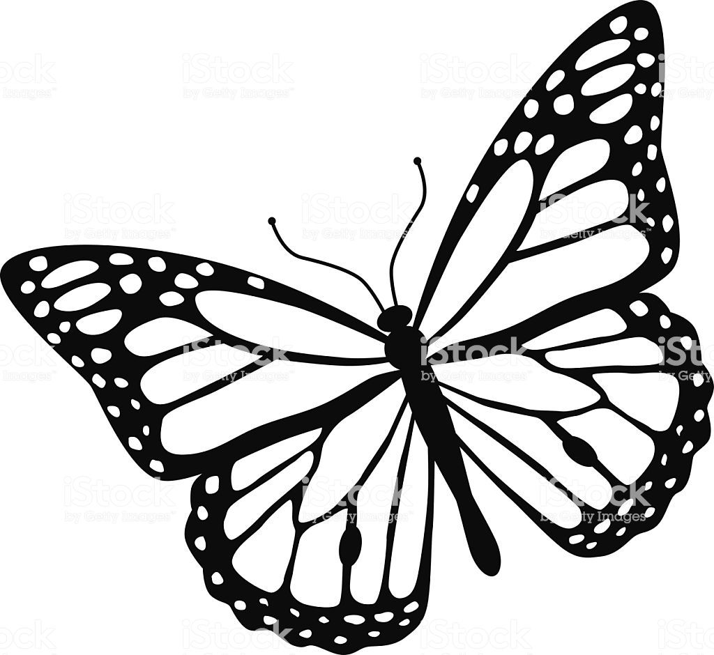 A vector illustration of a monarch butterfly in black and