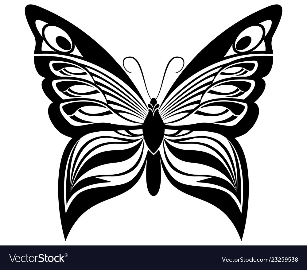 Butterfly black white silhouette design