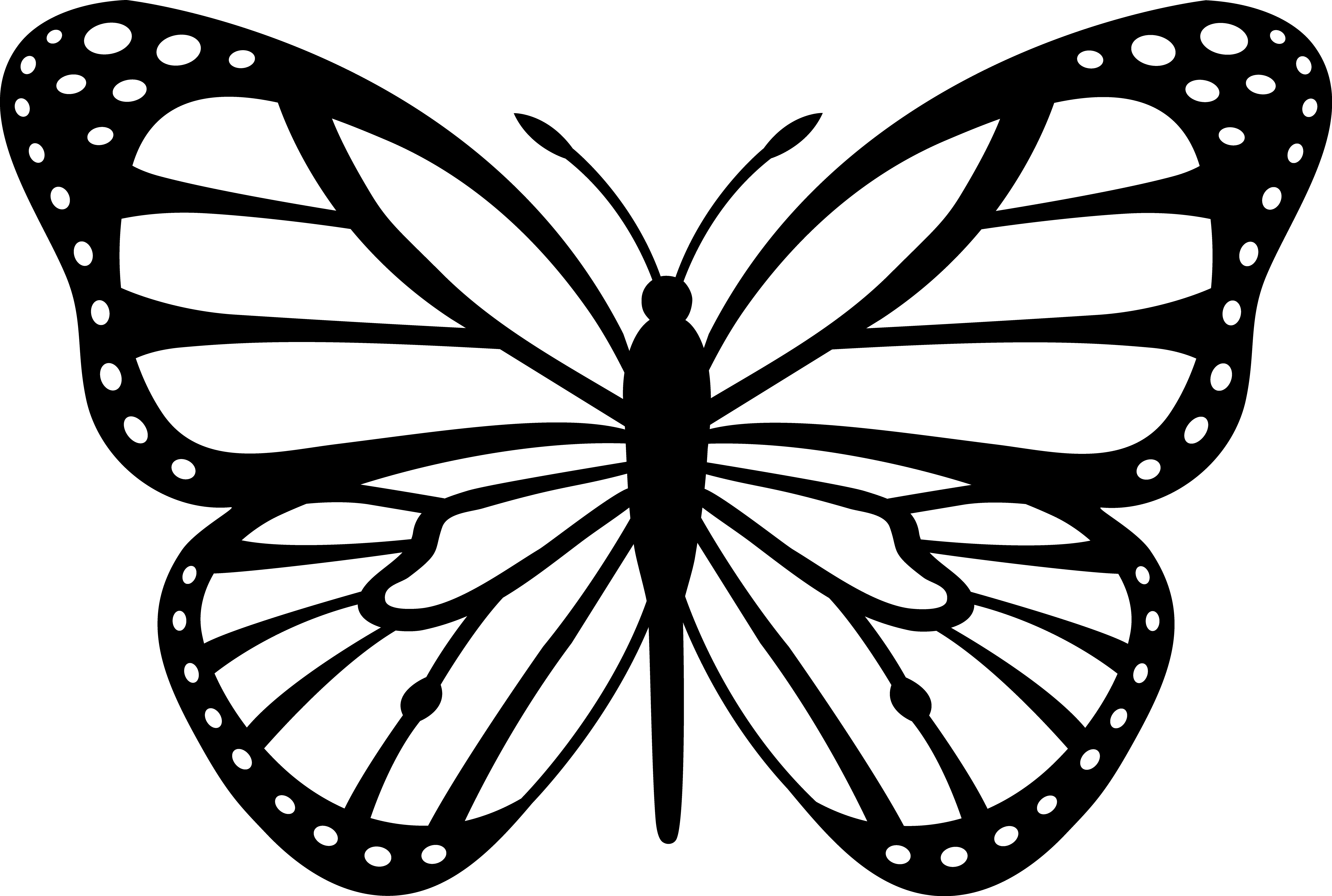 Butterfly stencils free.