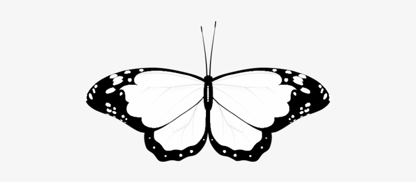 Wedding Clipart Butterfly