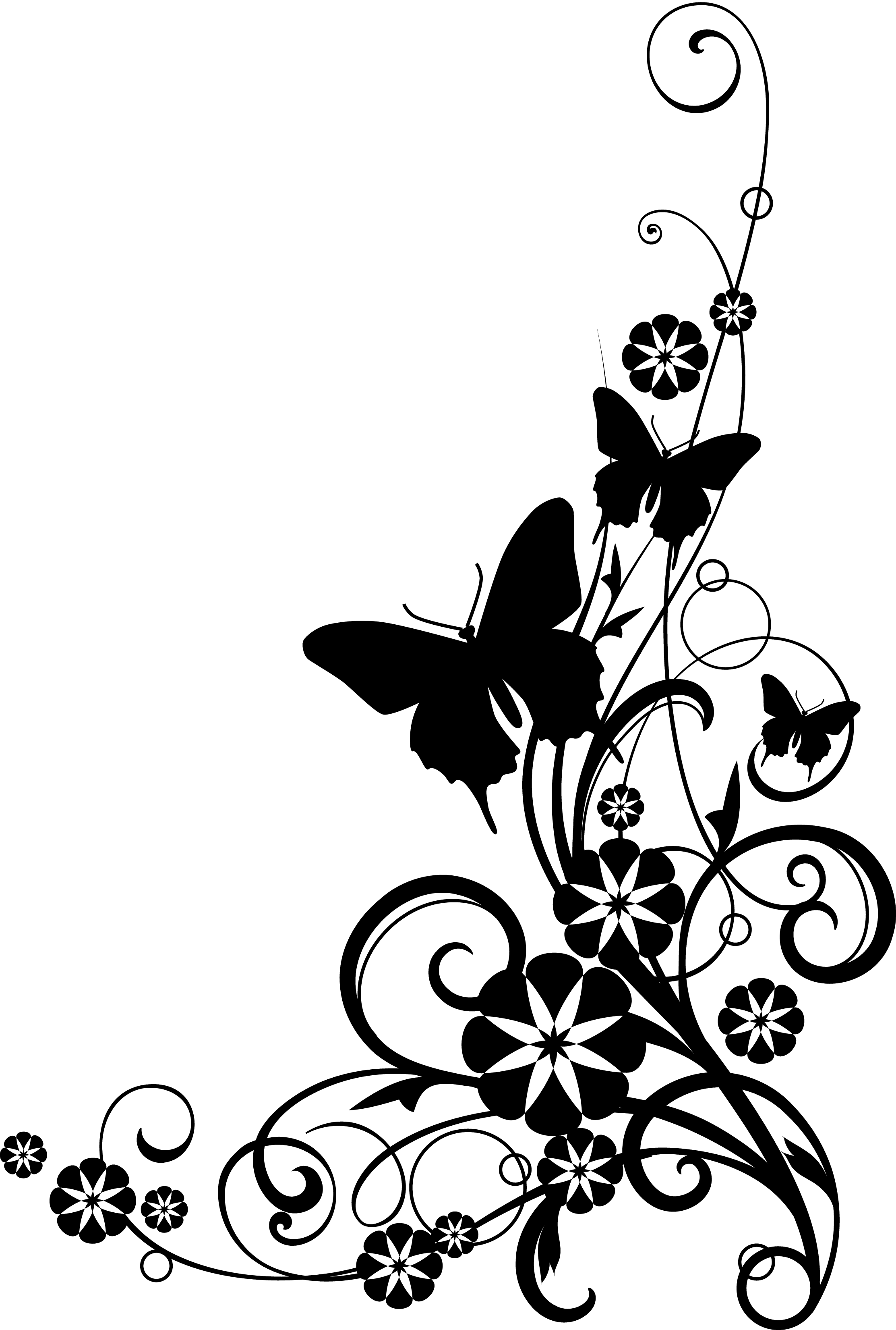 Butterfly drawings black.