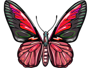 Free animated butterfly.