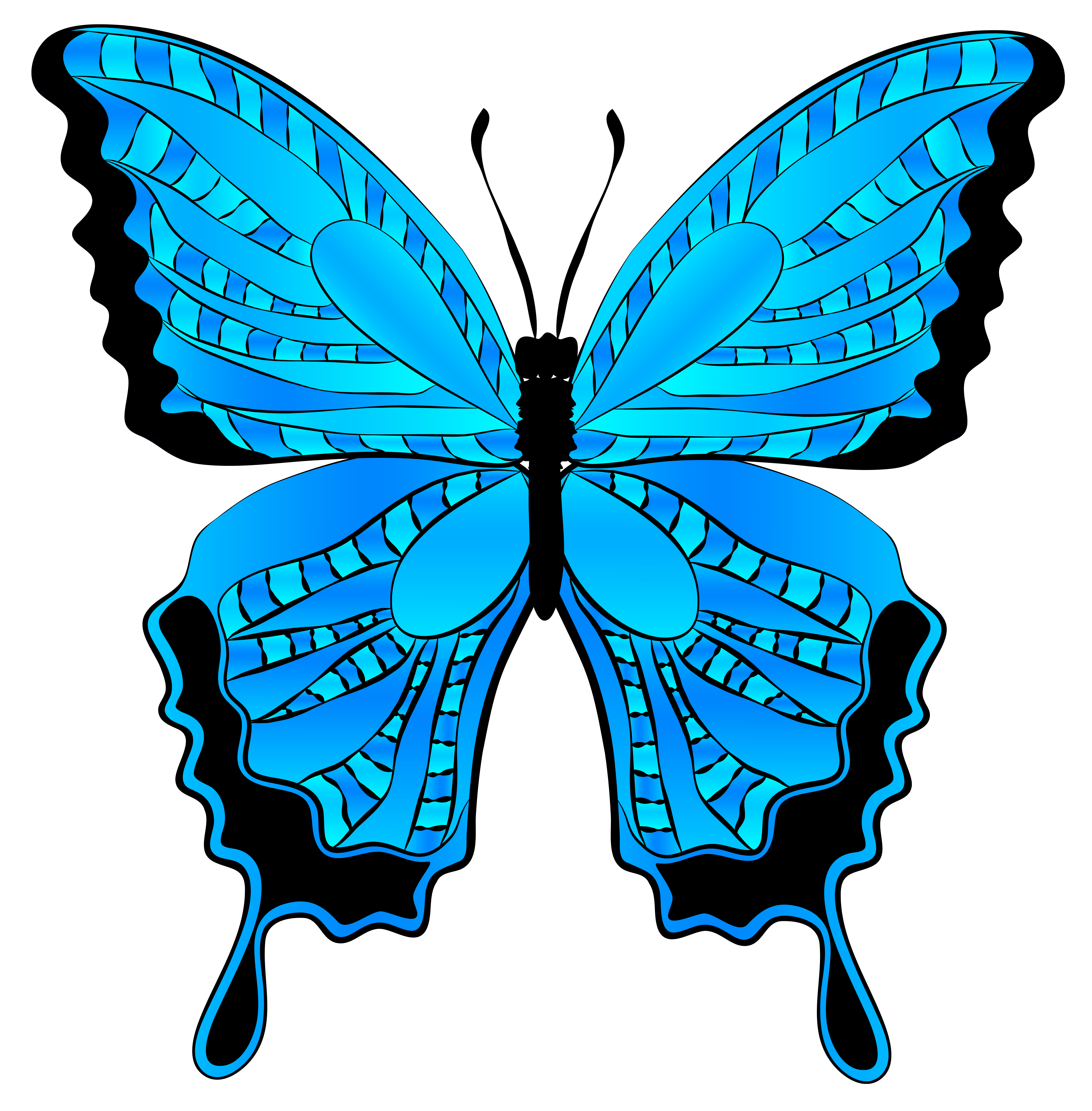 Blue butterfly clipart.