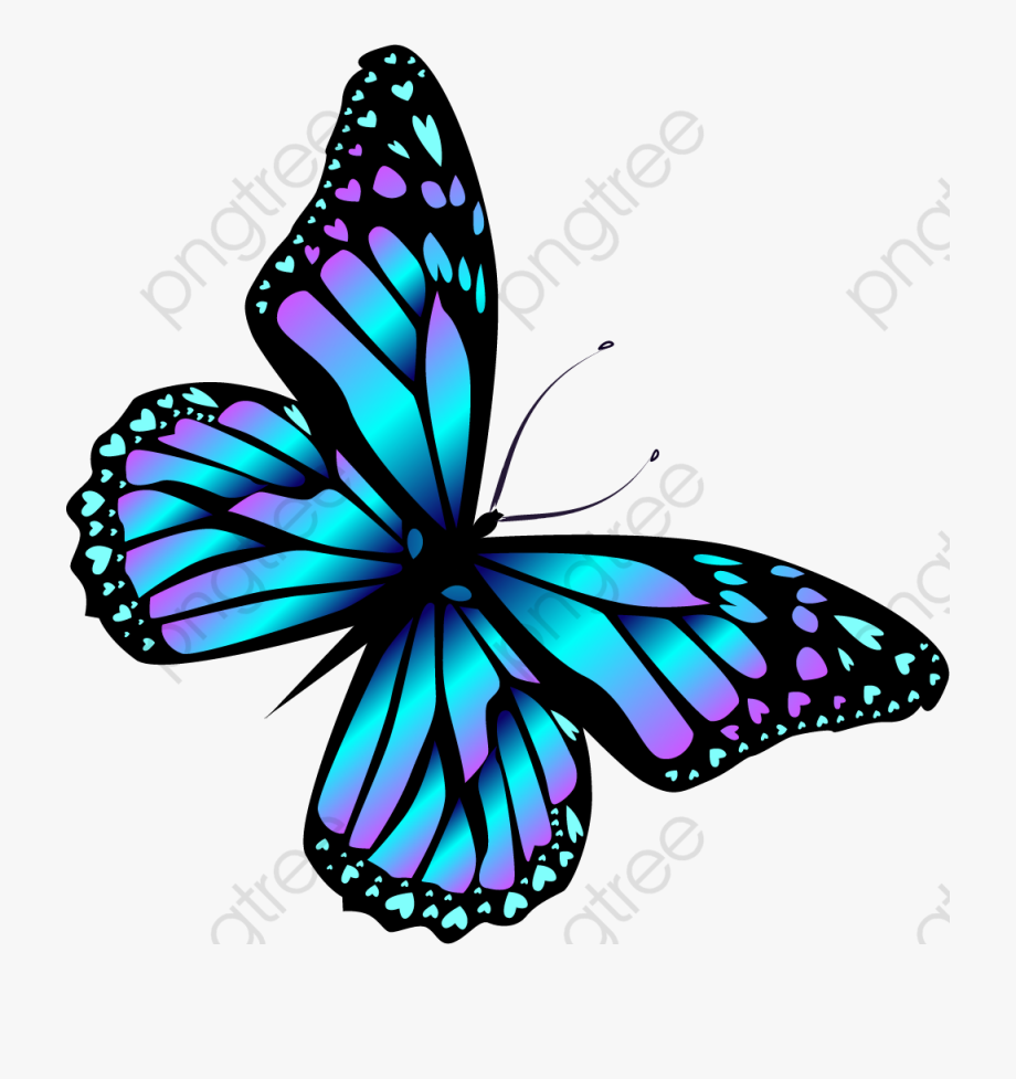 Beautiful blue butterfly.