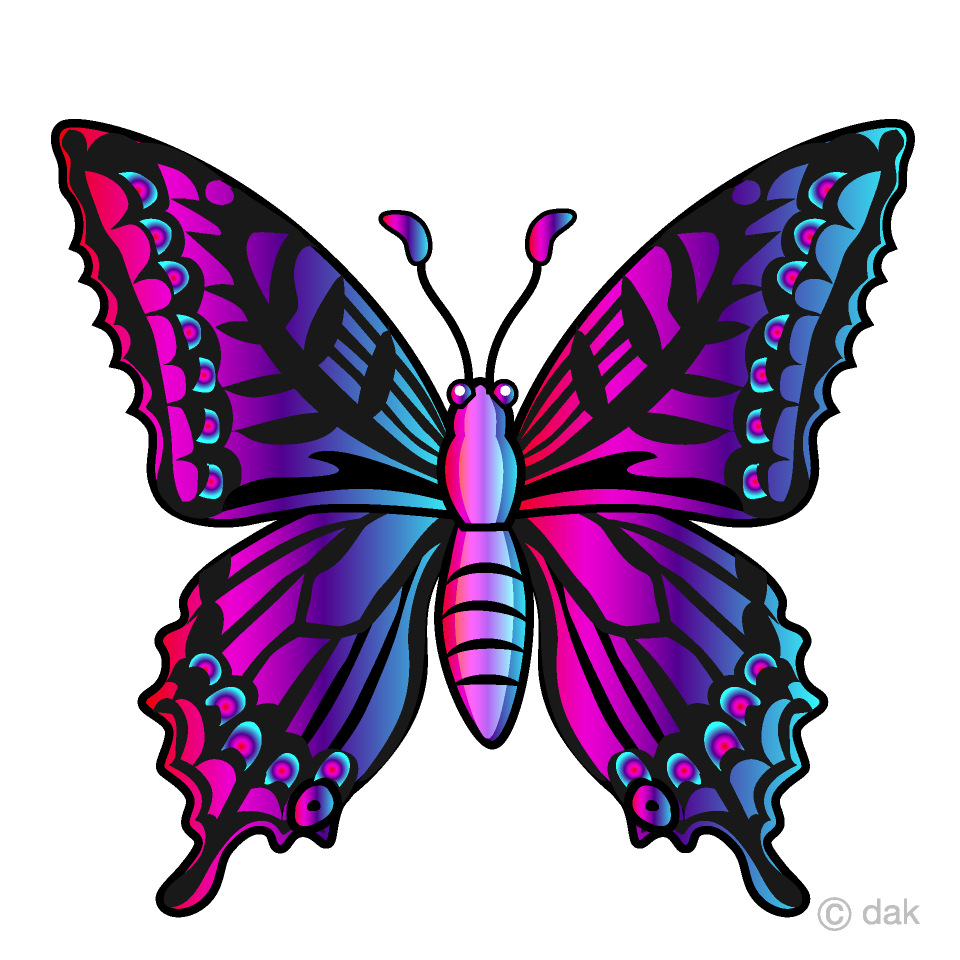 Free colorful butterfly.